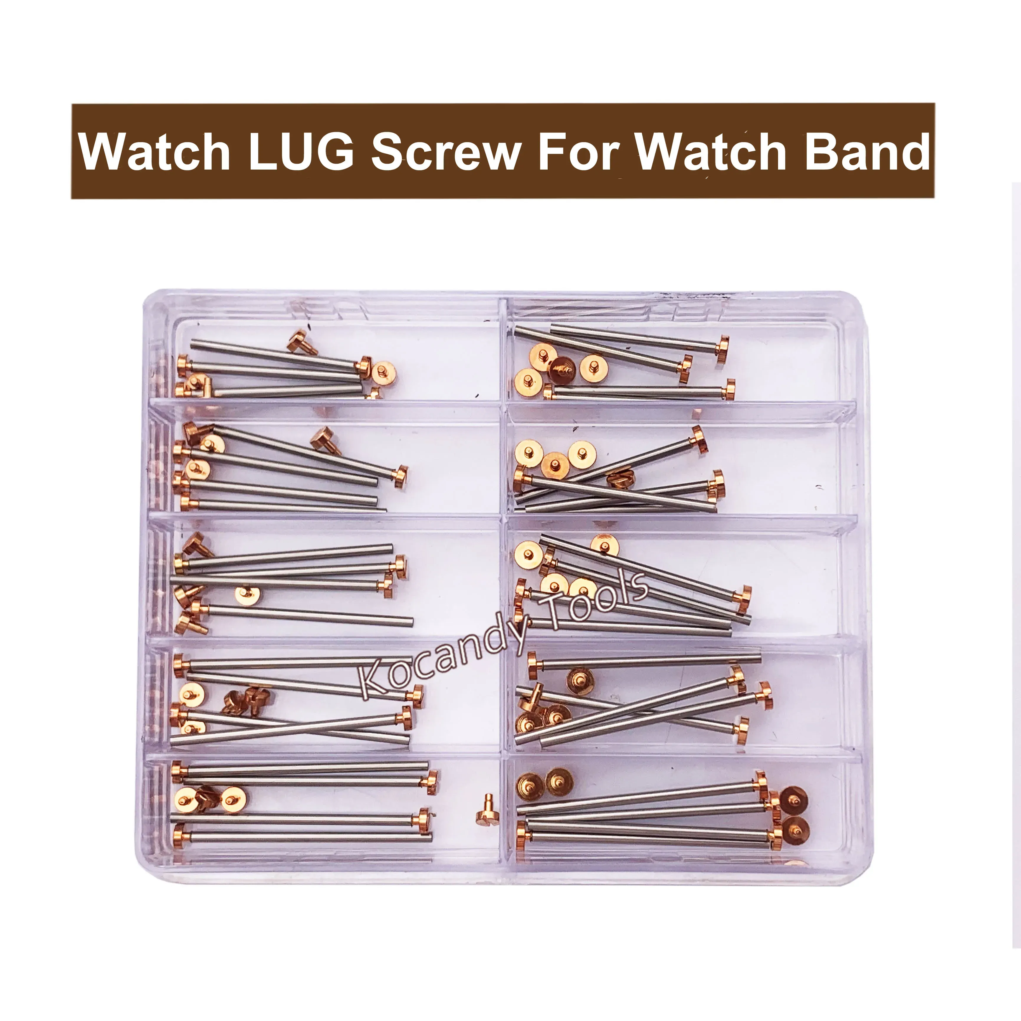 Watch lug screw set with screwdriver in a clear compartment box