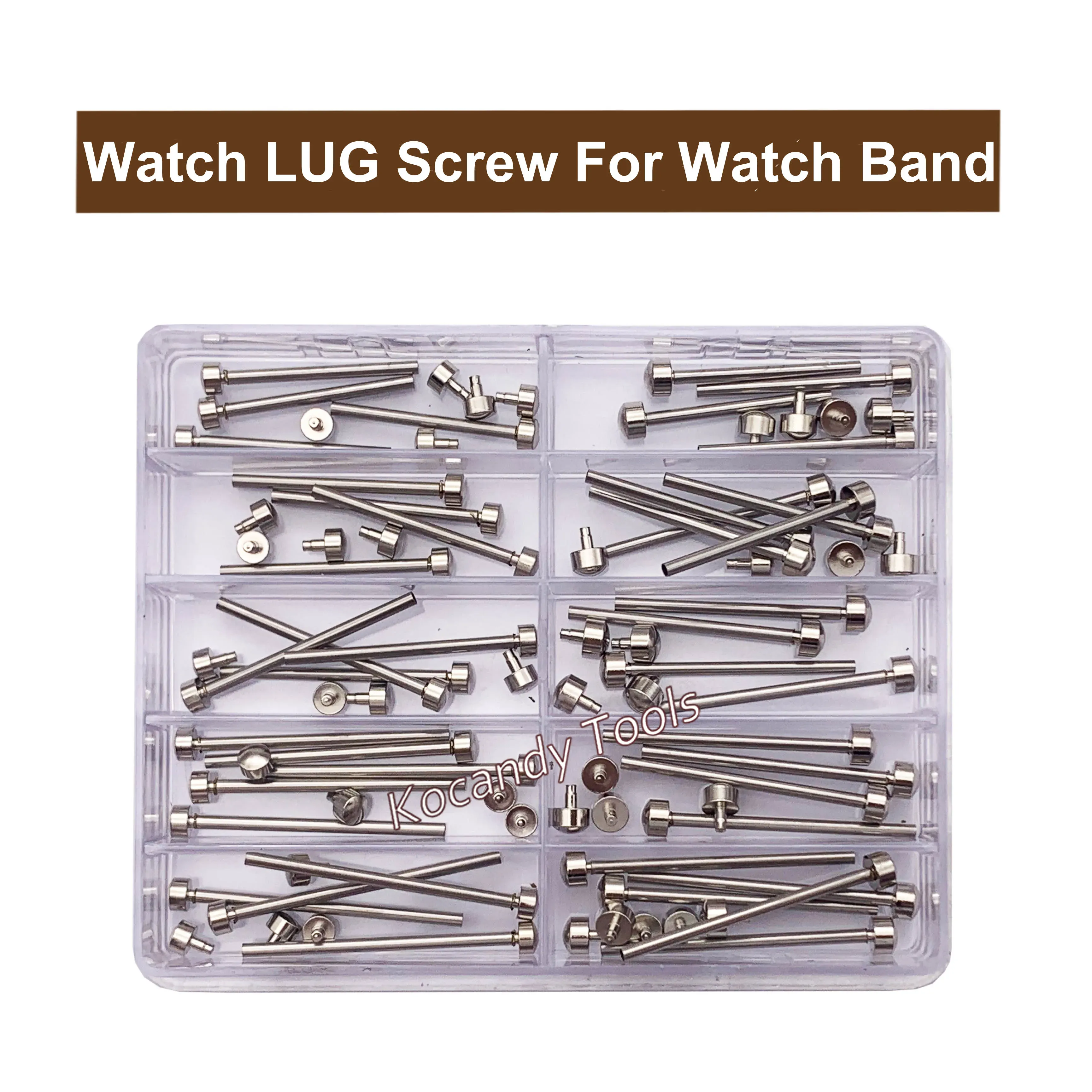 Silver 316L lug screws arranged in a clear tray with a ruler
