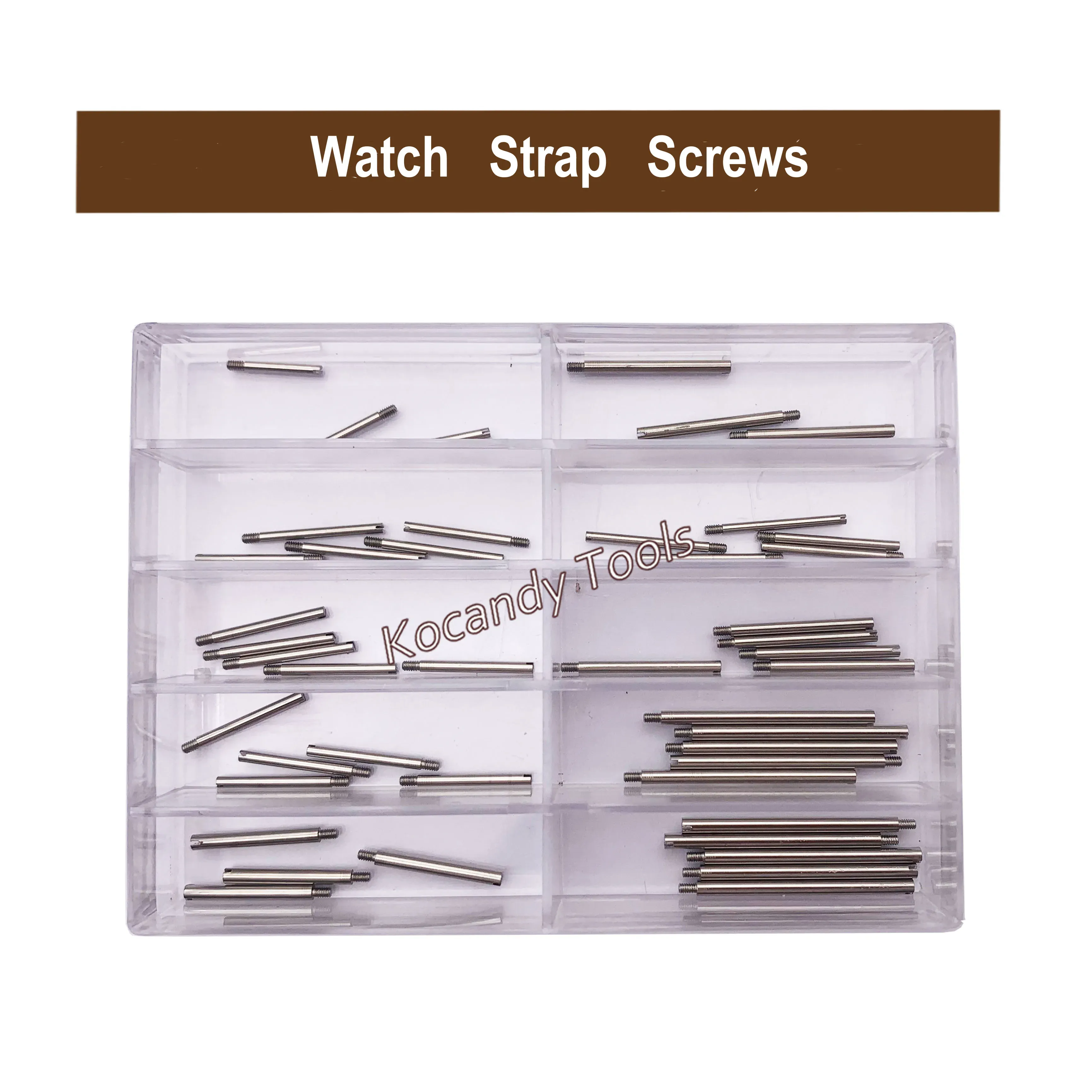 Clear plastic compartment box filled with assorted watch band screw link pins