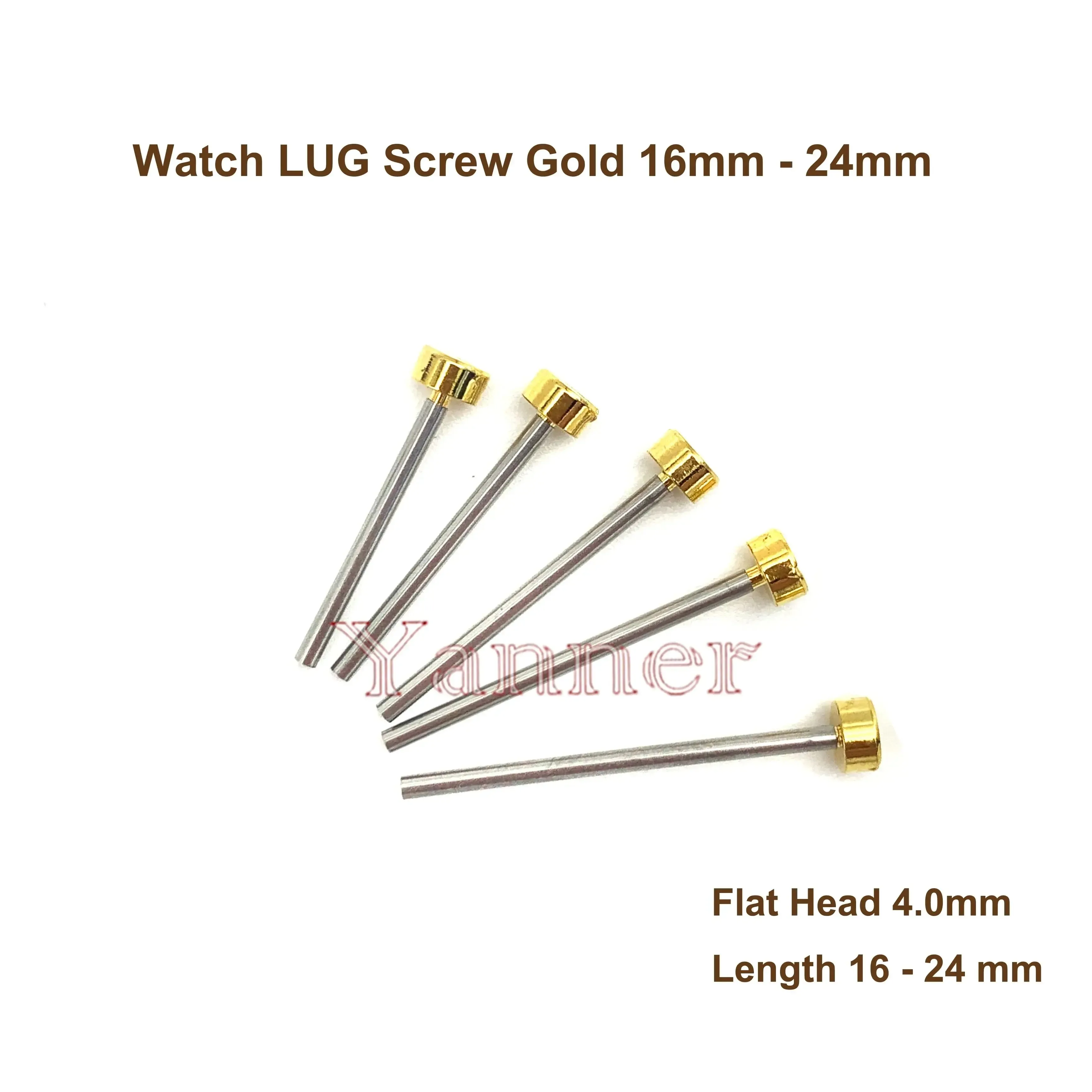 Gold watch band screws with flat heads, labelled 4.8 mm and 18-24 mm length