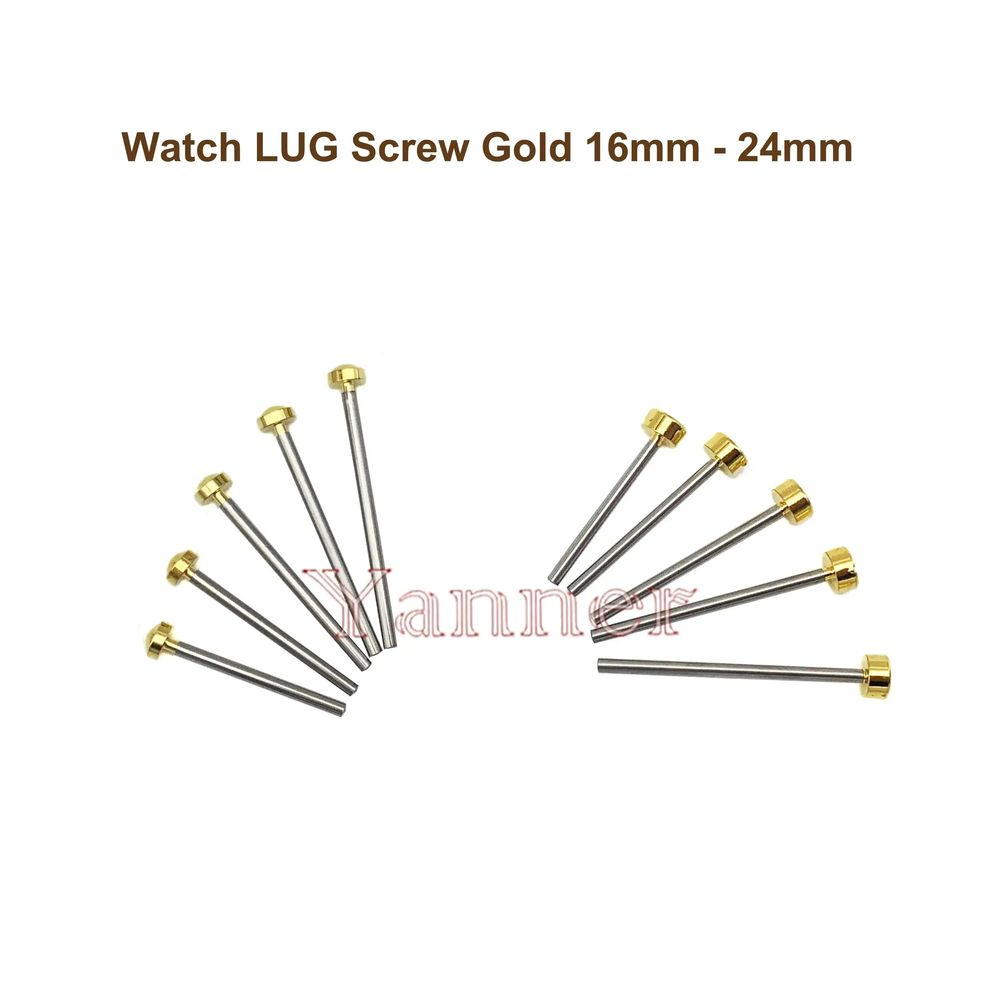Gold band pins with dome heads labelled 3.5 mm, lengths 18 to 24 mm