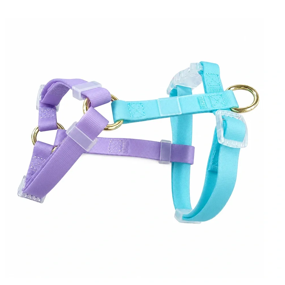 purple and turquoise PVC strap dog harness with clear plastic buckles and gold D-rings