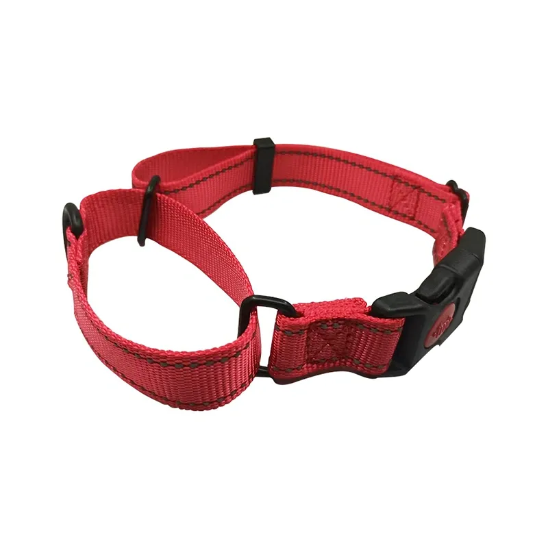 Red adjustable martingale dog collar with side-release buckle and limited-slip control loop.