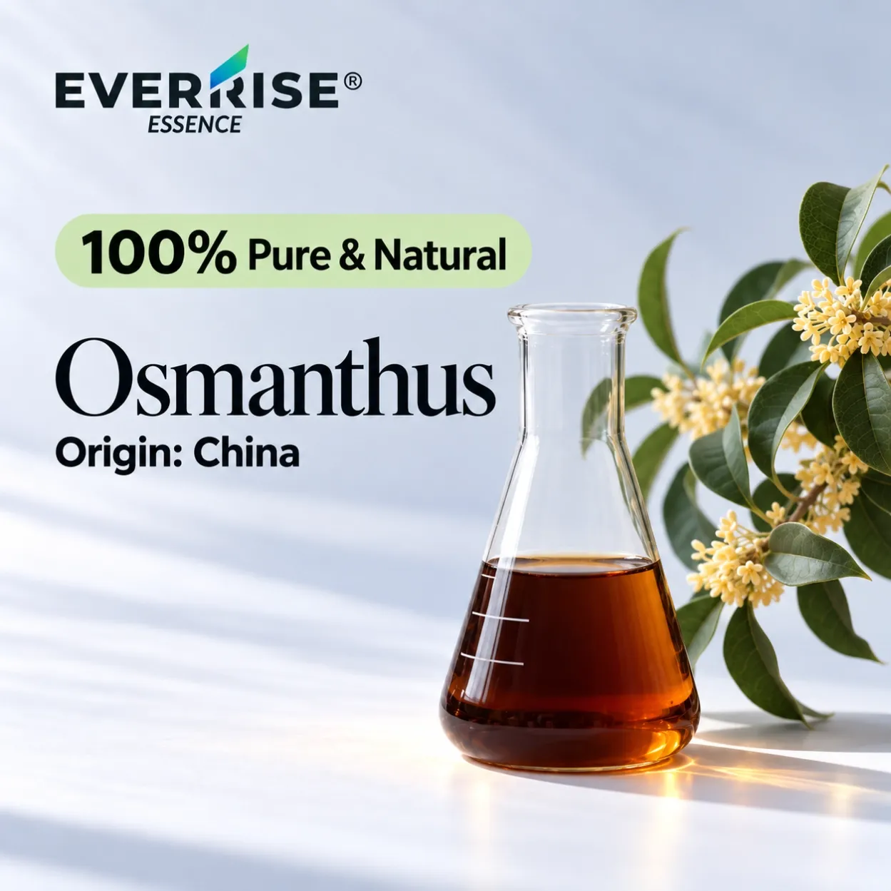 floral-osmanthus-china