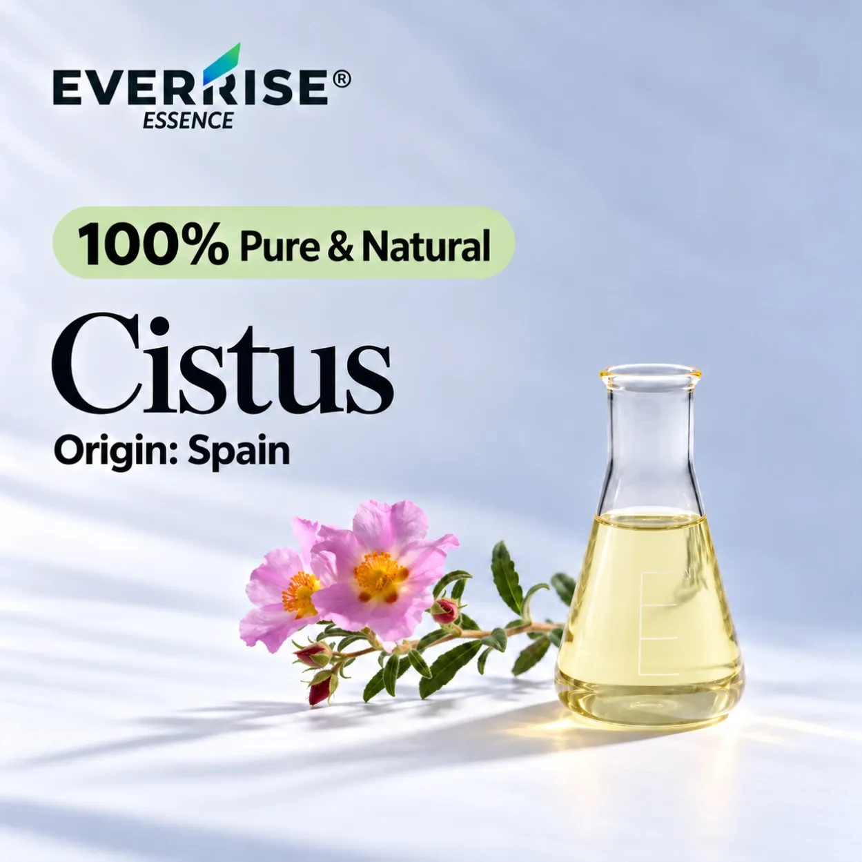 floral-cistus-spain-color-corrected-20261022