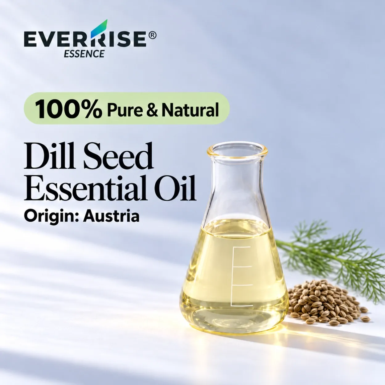 seeds-dill-seed-essential-oil-austria-color-corrected-20261022