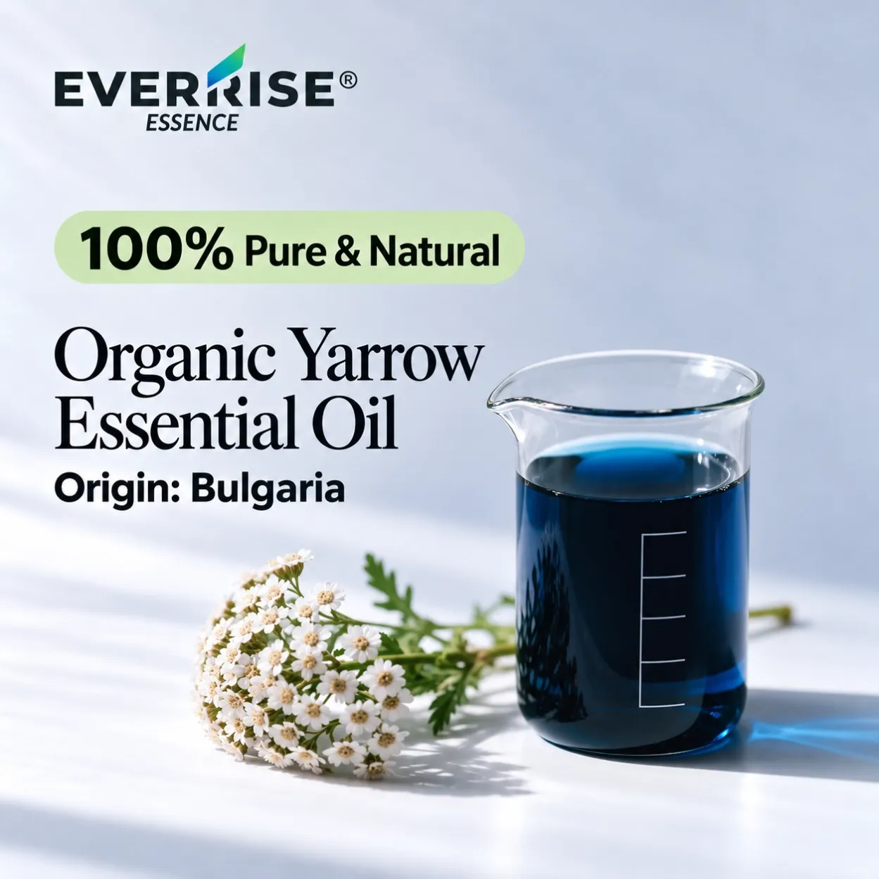 leaves-organic-yarrow-essential-oil-bulgaria
