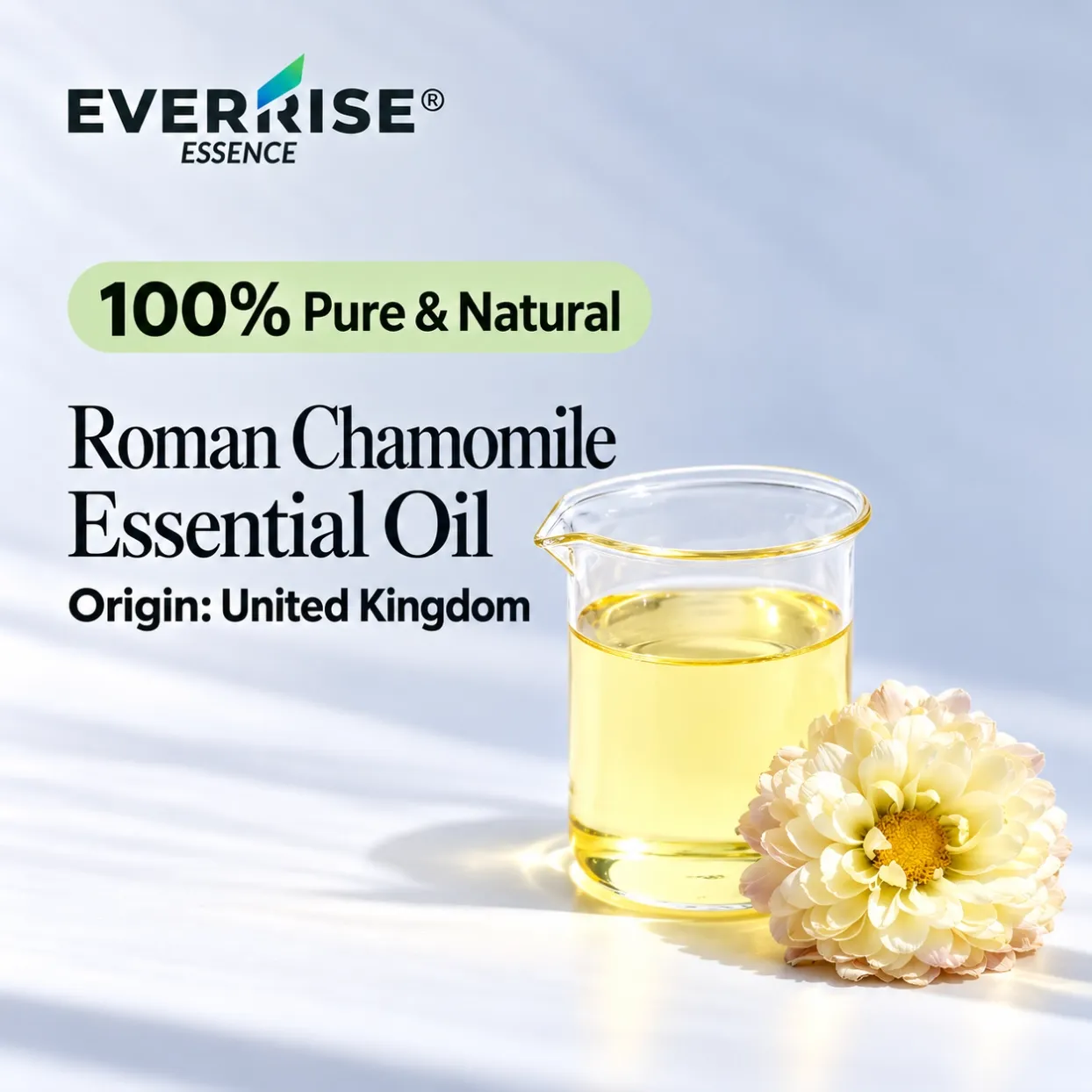 floral-roman-chamomile-essential-oil-united-kingdom