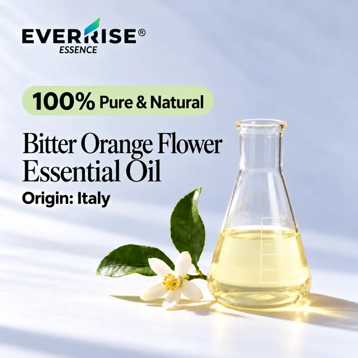 floral-bitter-orange-flower-essential-oil-italy-color-corrected-20261022