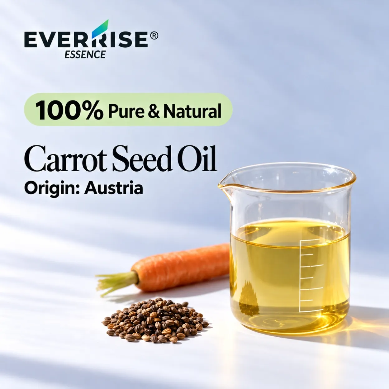 seeds-carrot-seed-oil-austria-color-corrected-20261022