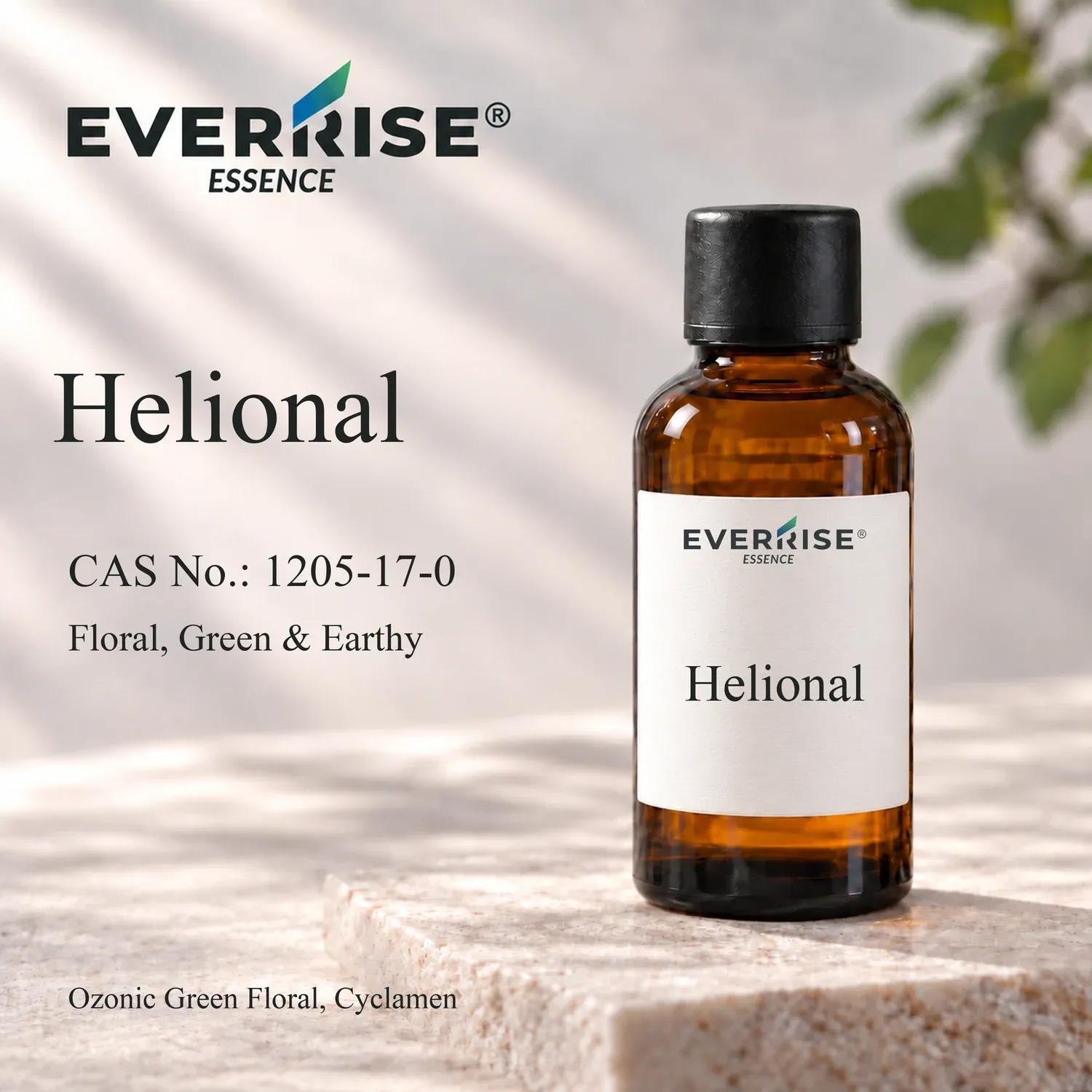 helional-preview-18-V4-20260921