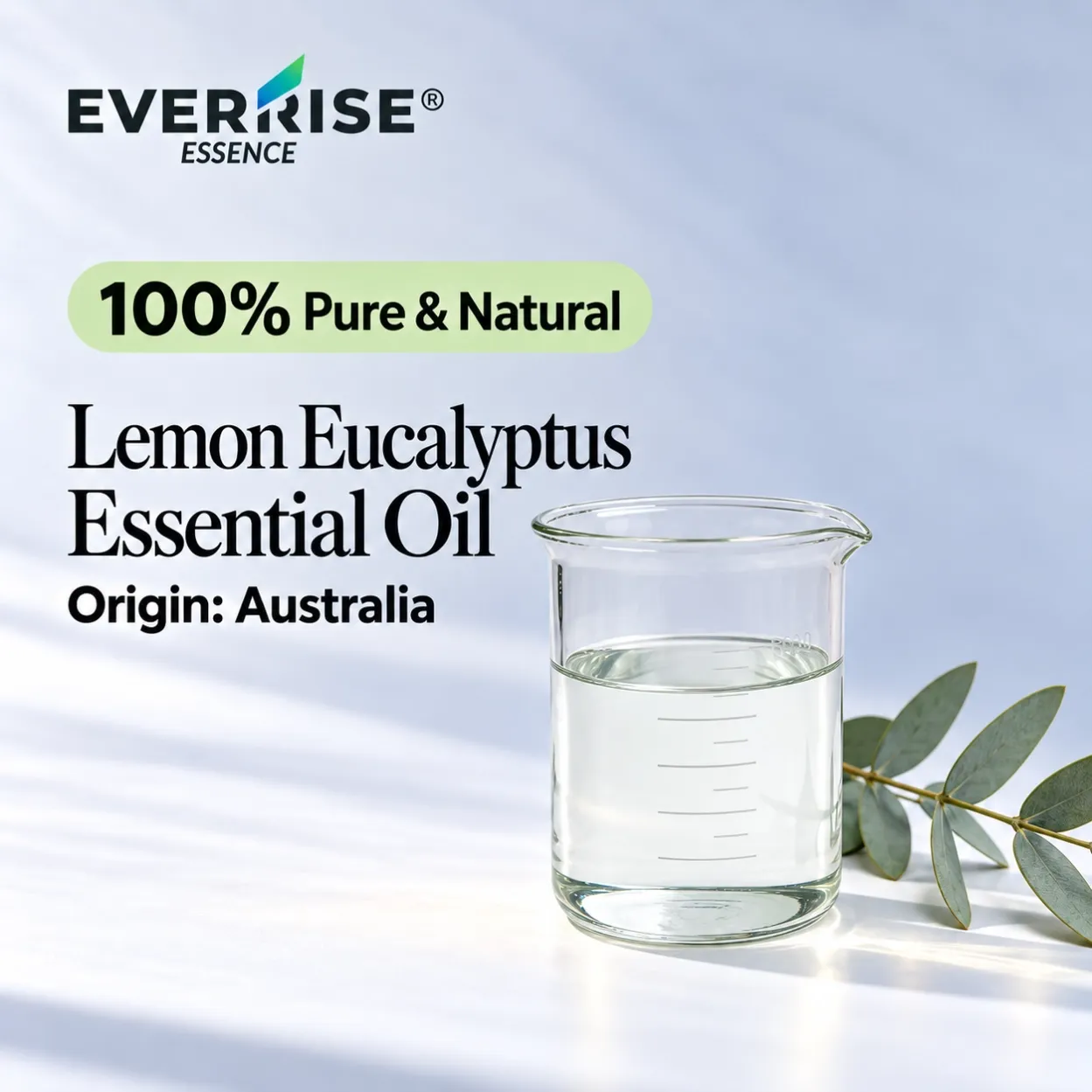 leaves-lemon-eucalyptus-essential-oil-australia