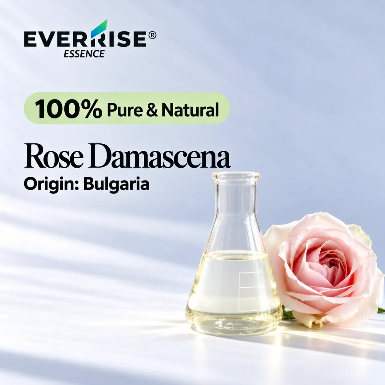 floral-rose-damascena-bulgaria