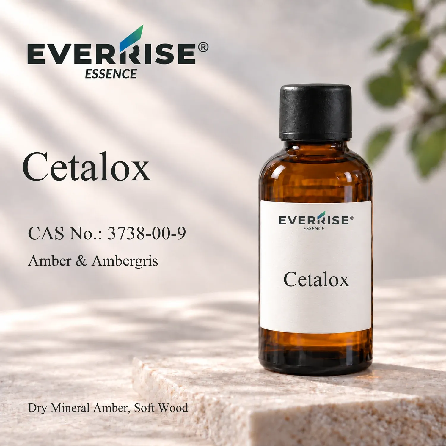 cetalox-preview-03-V4-20260921