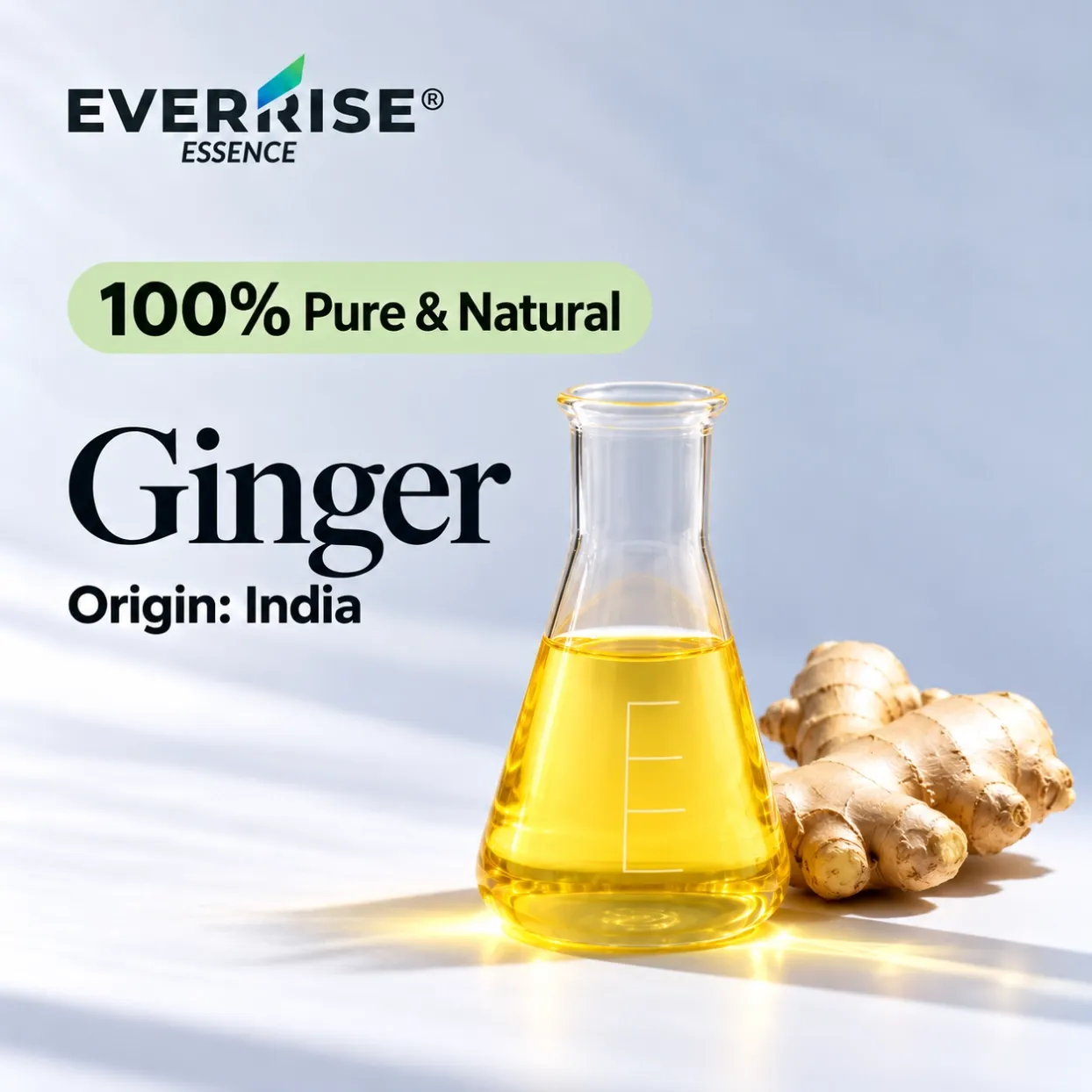 roots-and-rhizomes-ginger-india