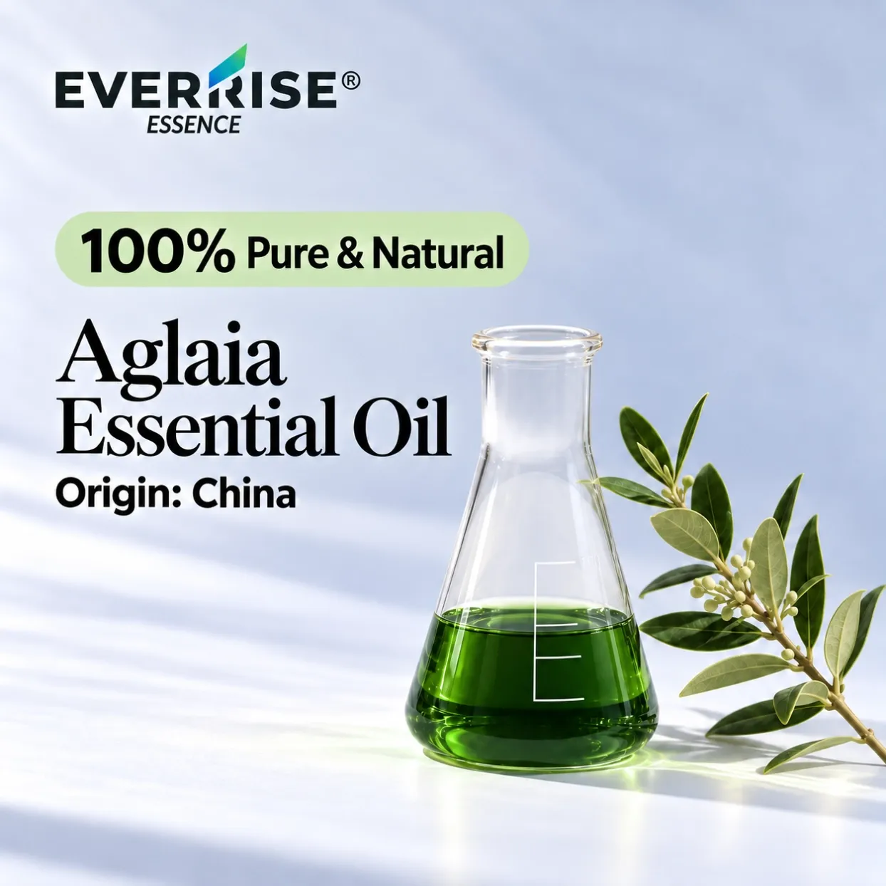 floral-aglaia-essential-oil-china-color-corrected-20261022