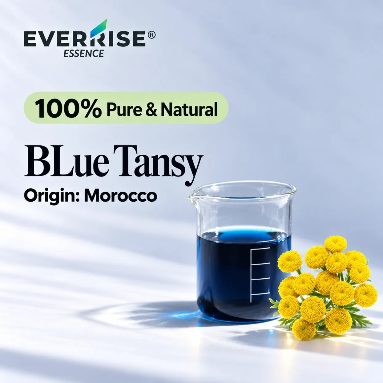 floral-blue-tansy-morocco