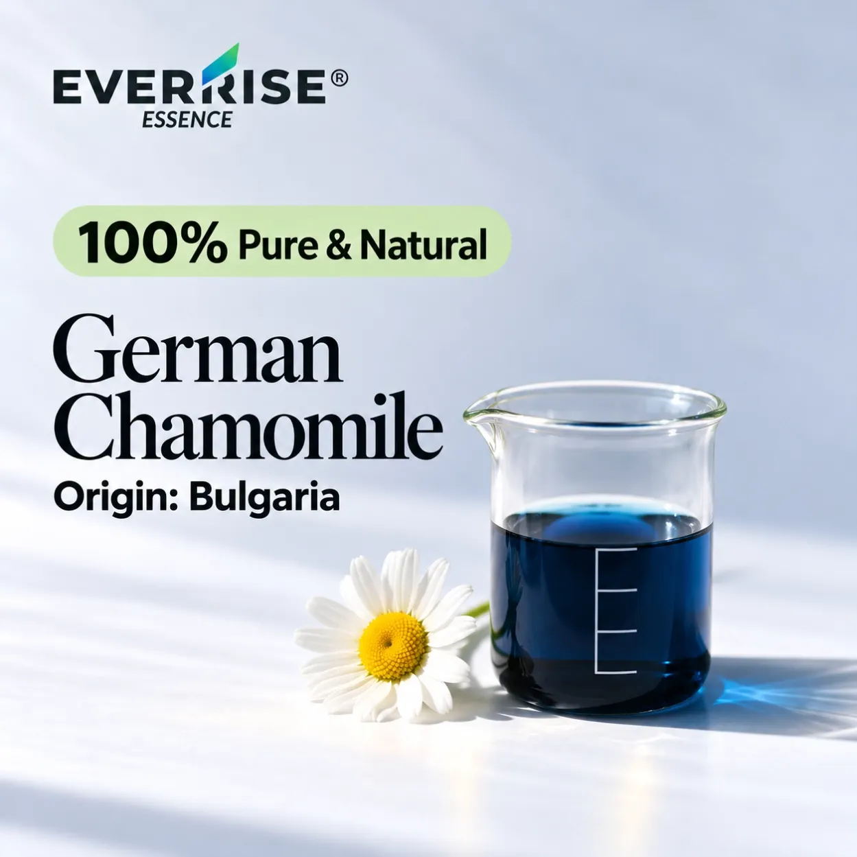 floral-german-chamomile-bulgaria