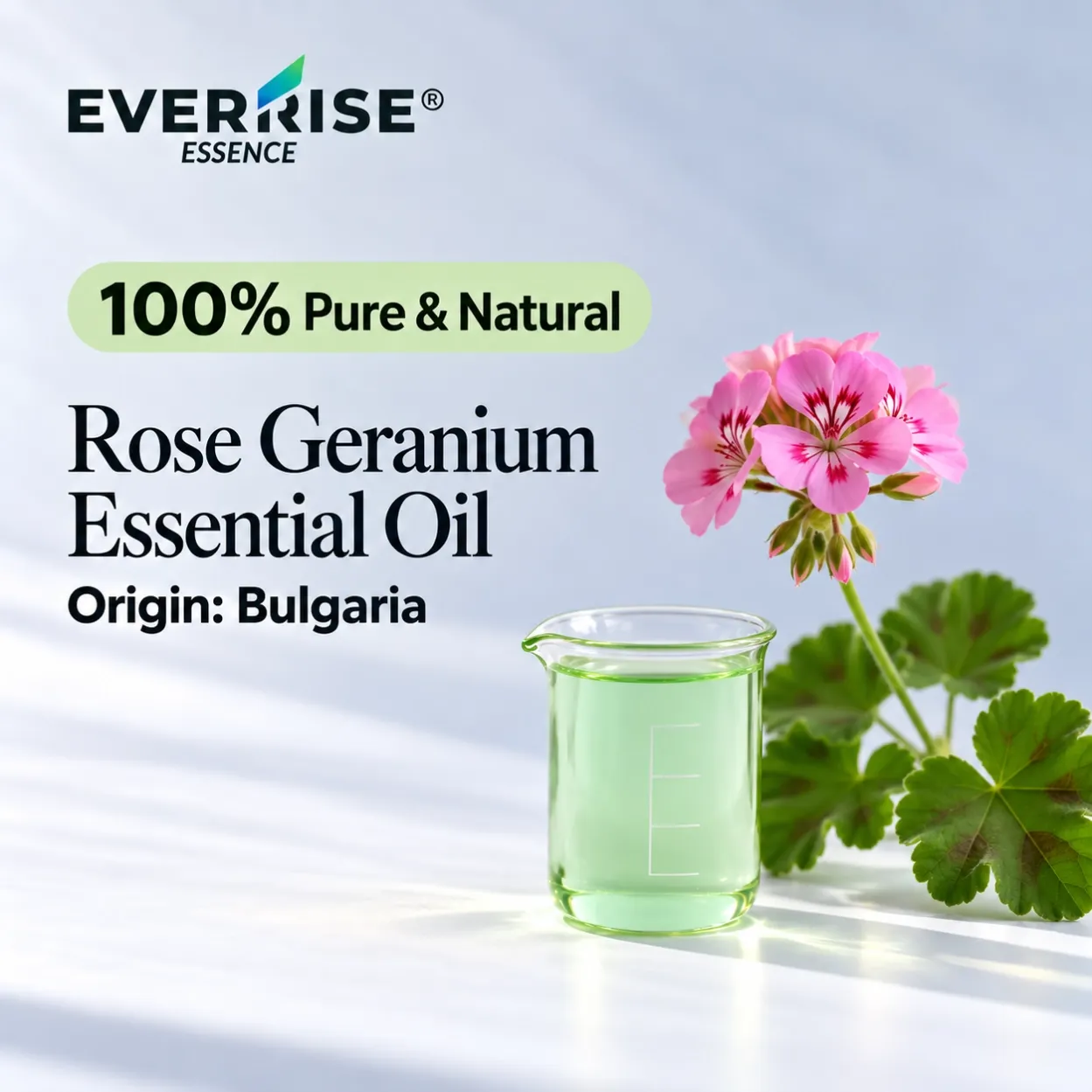 floral-rose-geranium-essential-oil-bulgaria