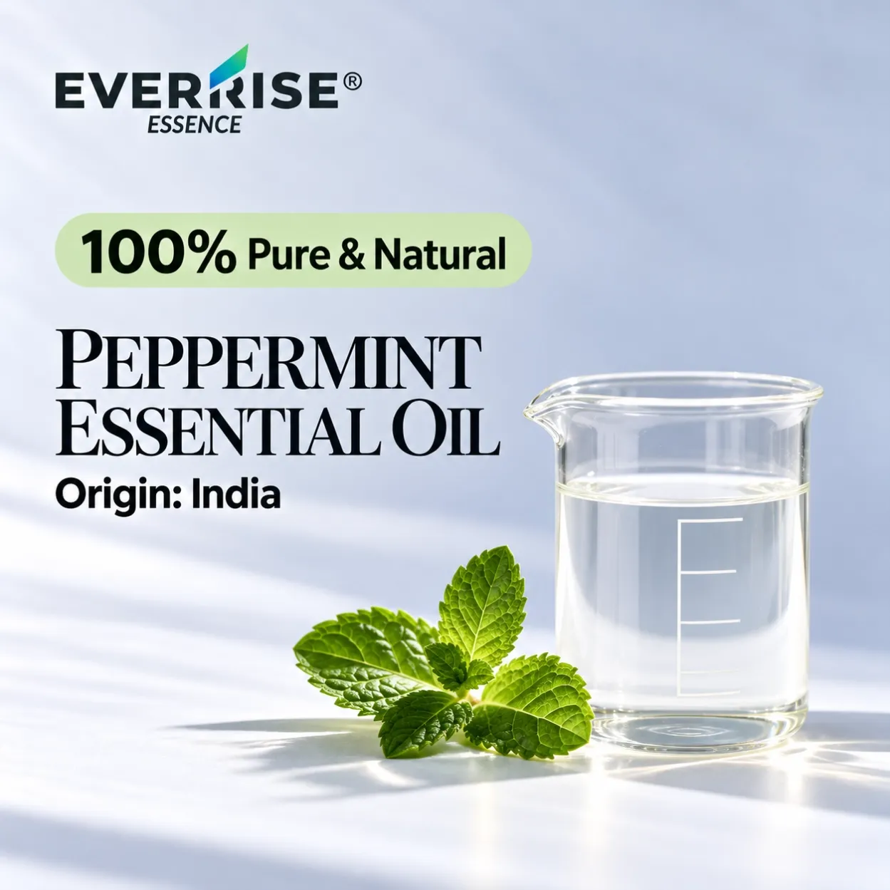 leaves-peppermint-essential-oil-india