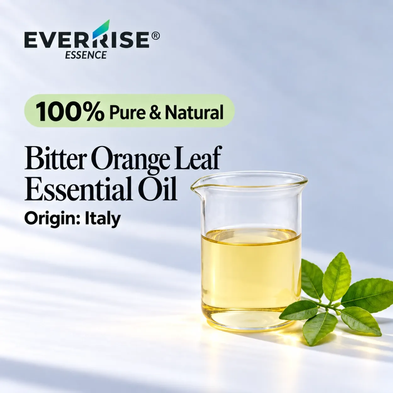 leaves-bitter-orange-leaf-essential-oil-italy