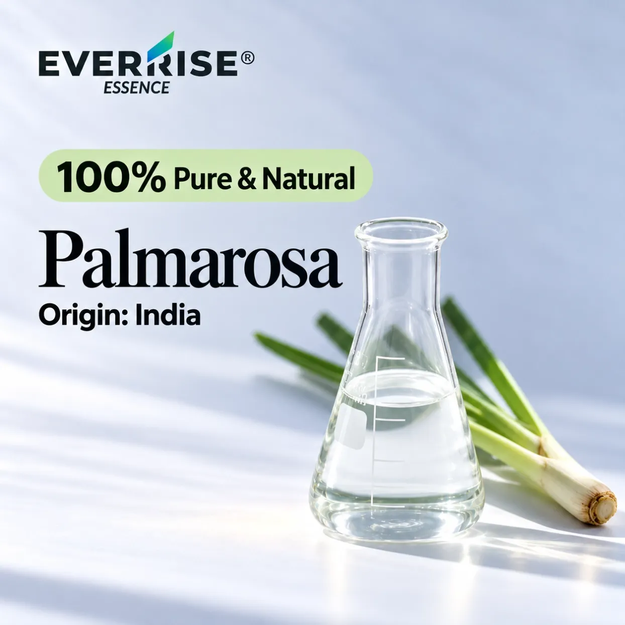 leaves-palmarosa-india