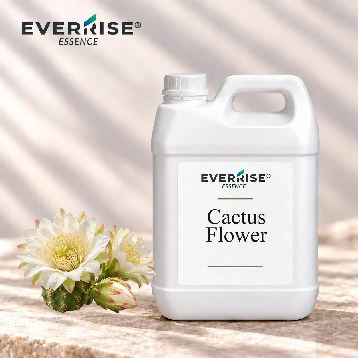 EV-FLO-001_cactus-flower