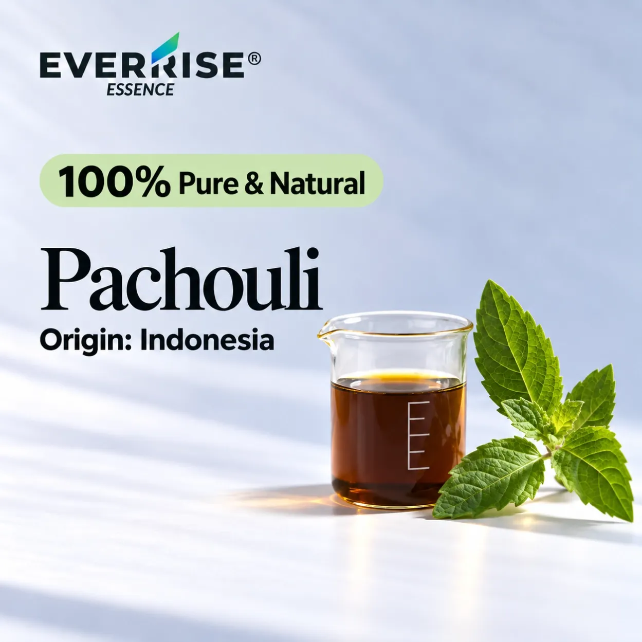 leaves-pachouli-indonesia