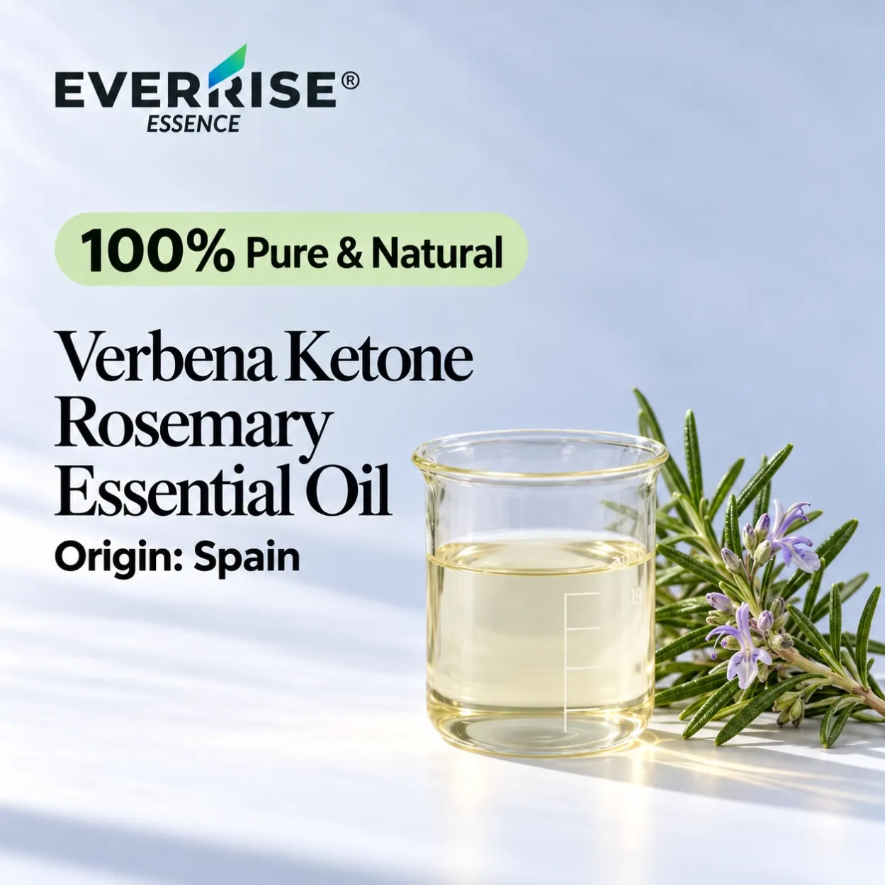 leaves-verbena-ketone-rosemary-essential-oil-spain