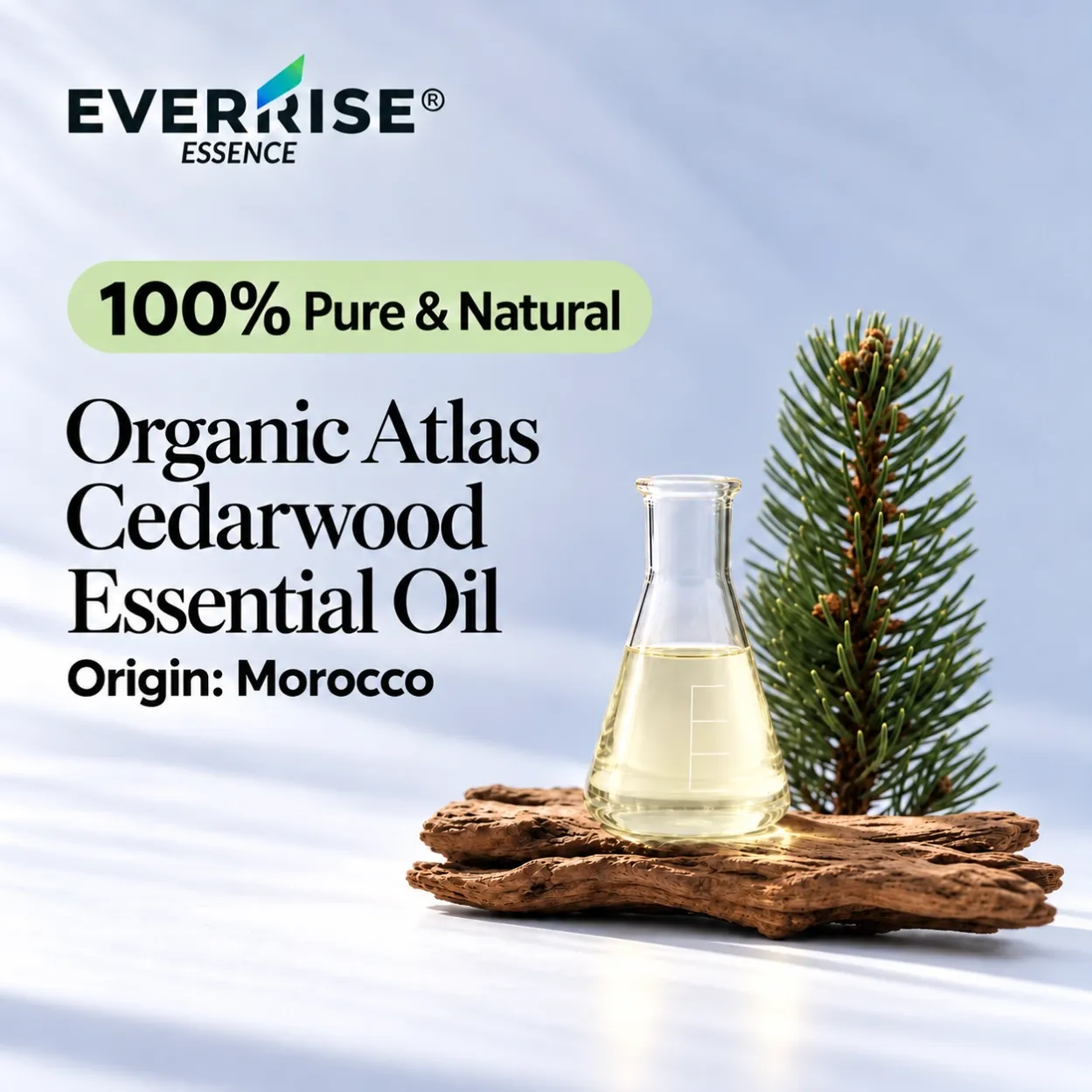 woods-organic-atlas-cedarwood-essential-oil-morocco-color-corrected-20261022