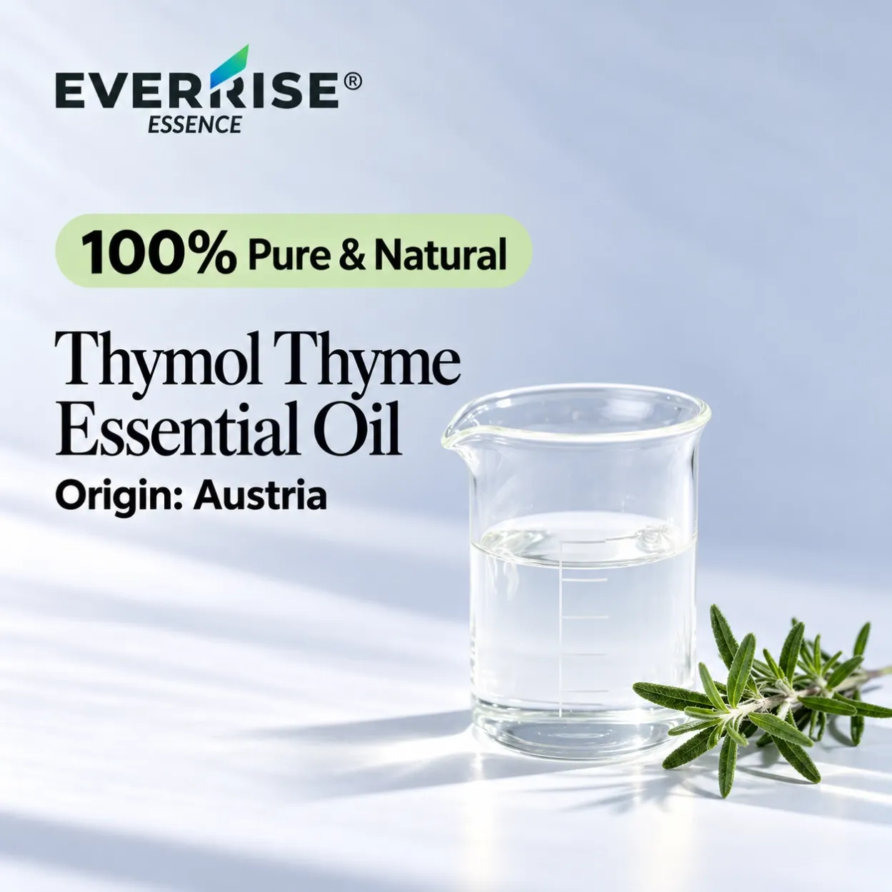 leaves-thymol-thyme-essential-oil-austria