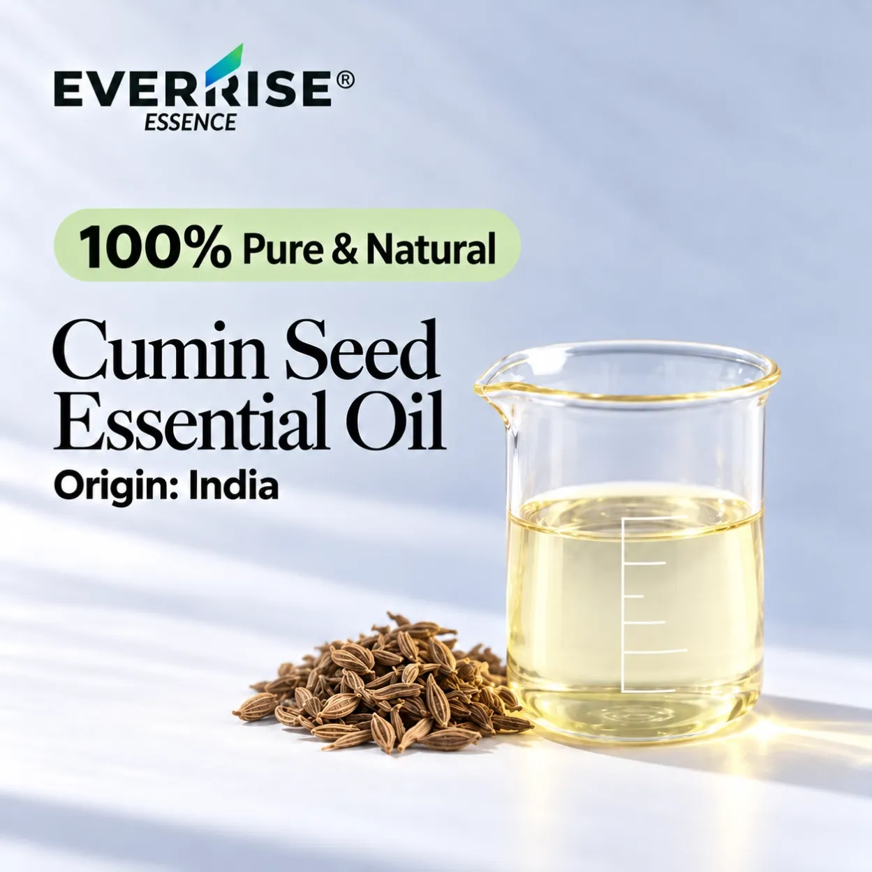 seeds-cumin-seed-essential-oil-india-color-corrected-20261022