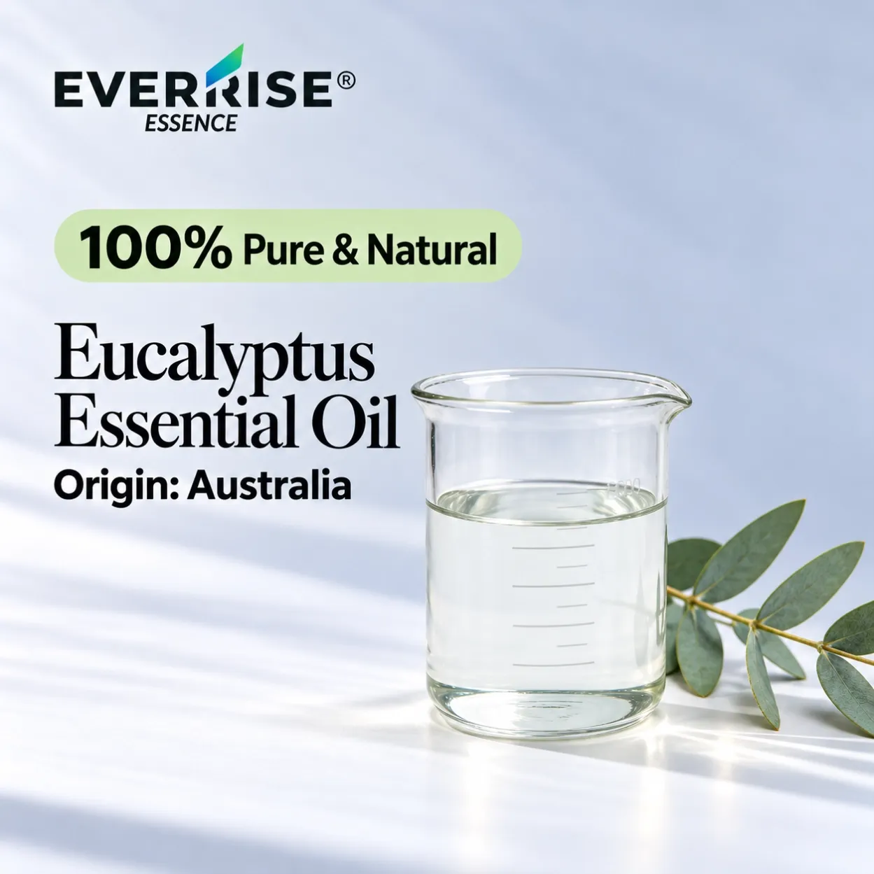 woods-eucalyptus-essential-oil-australia