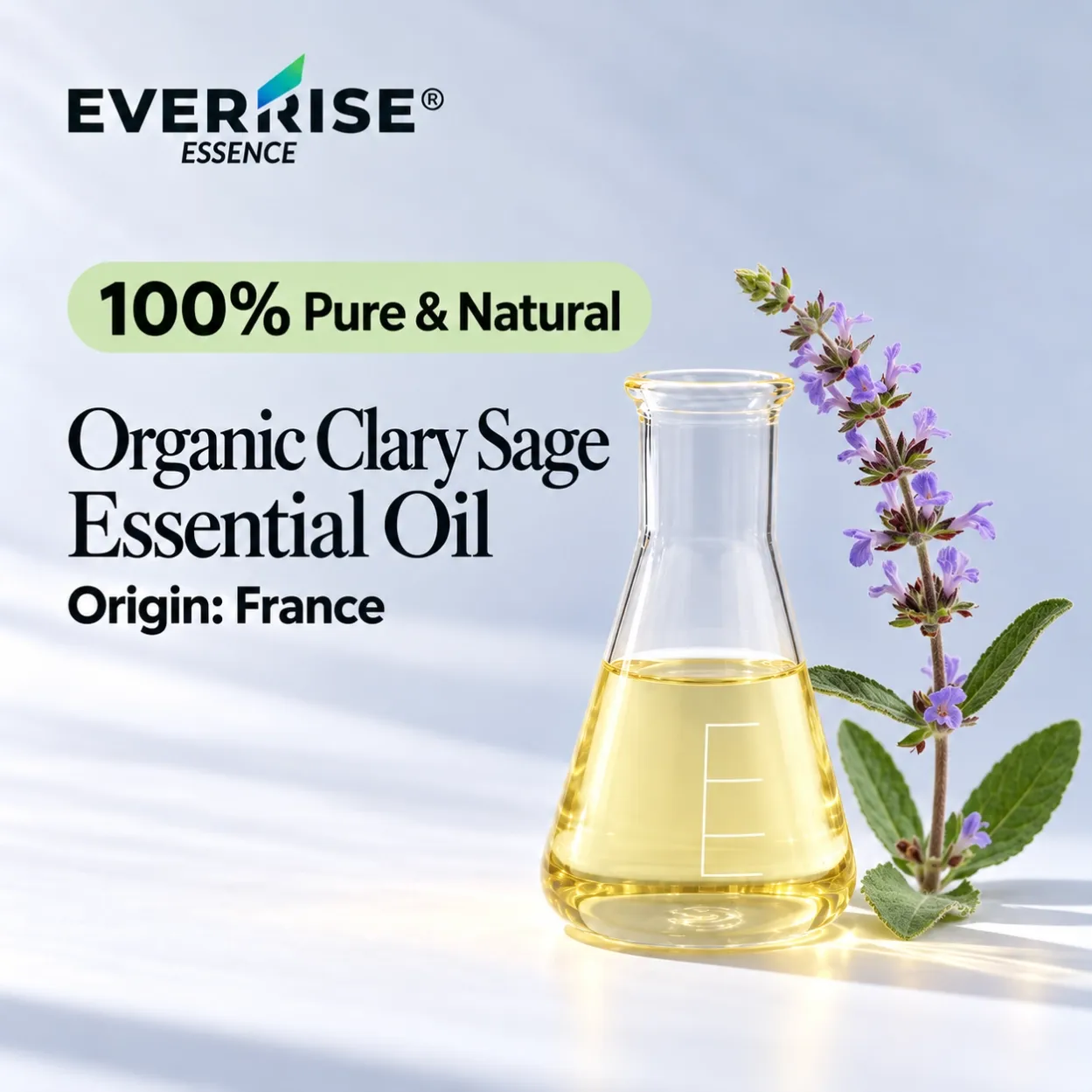 leaves-organic-clary-sage-essential-oil-france