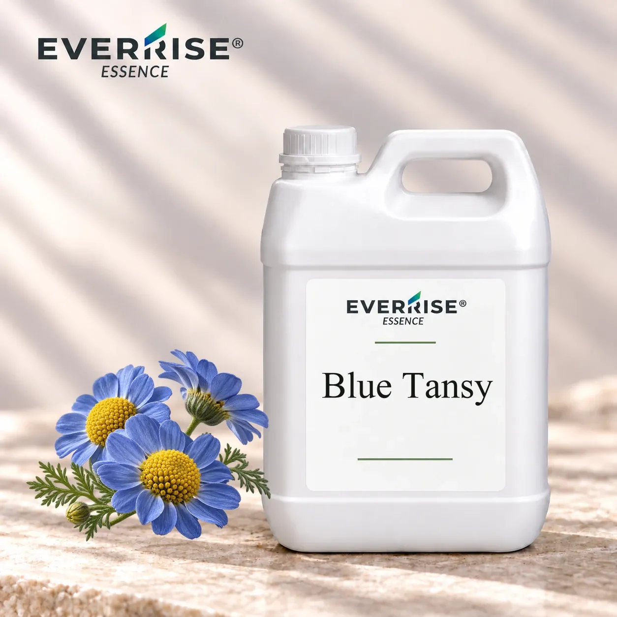 EV-FLO-035_blue-tansy