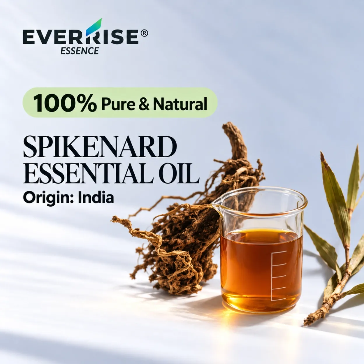 roots-and-rhizomes-spikenard-essential-oil-india