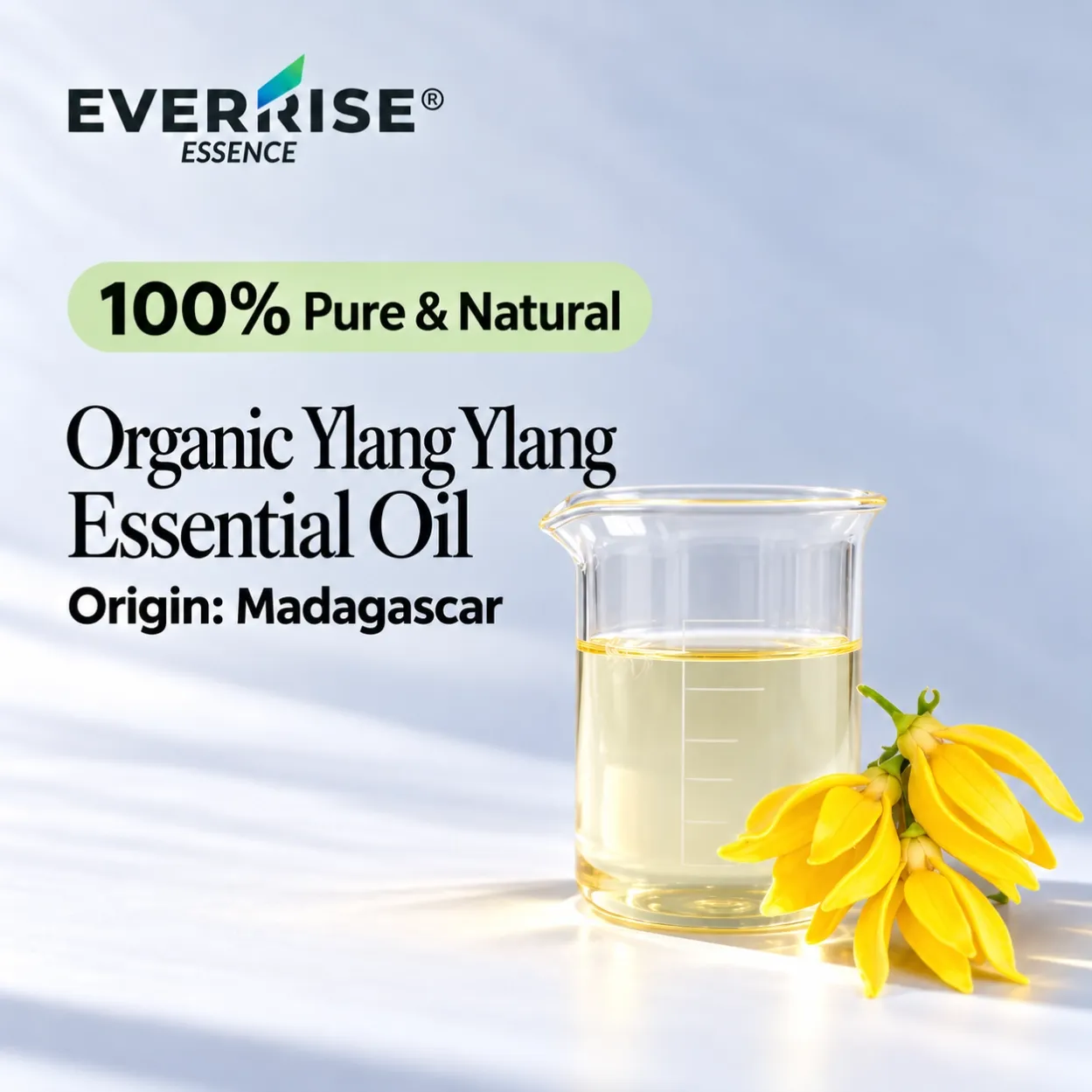 floral-organic-ylang-ylang-essential-oil-madagascar