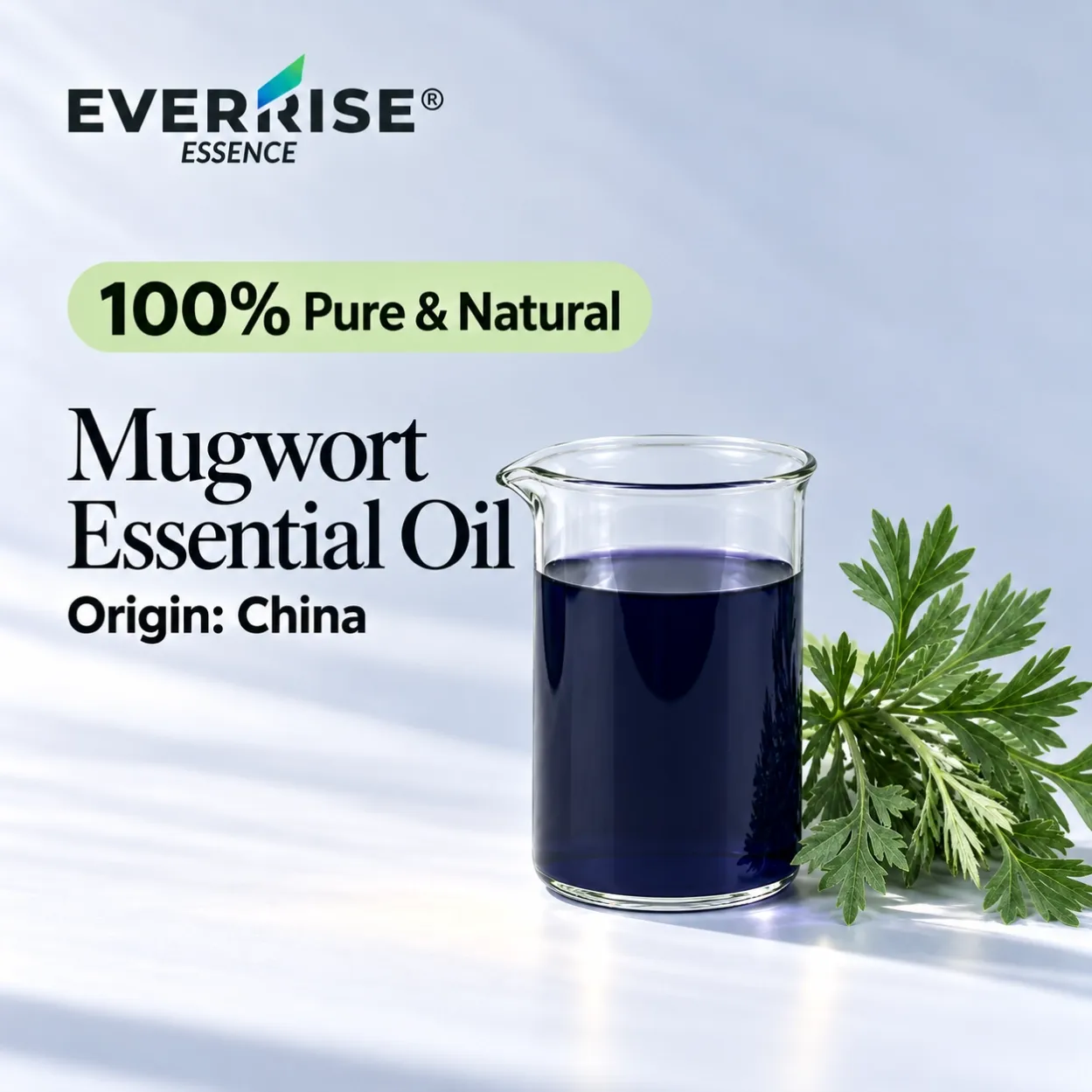 leaves-mugwort-essential-oil-china