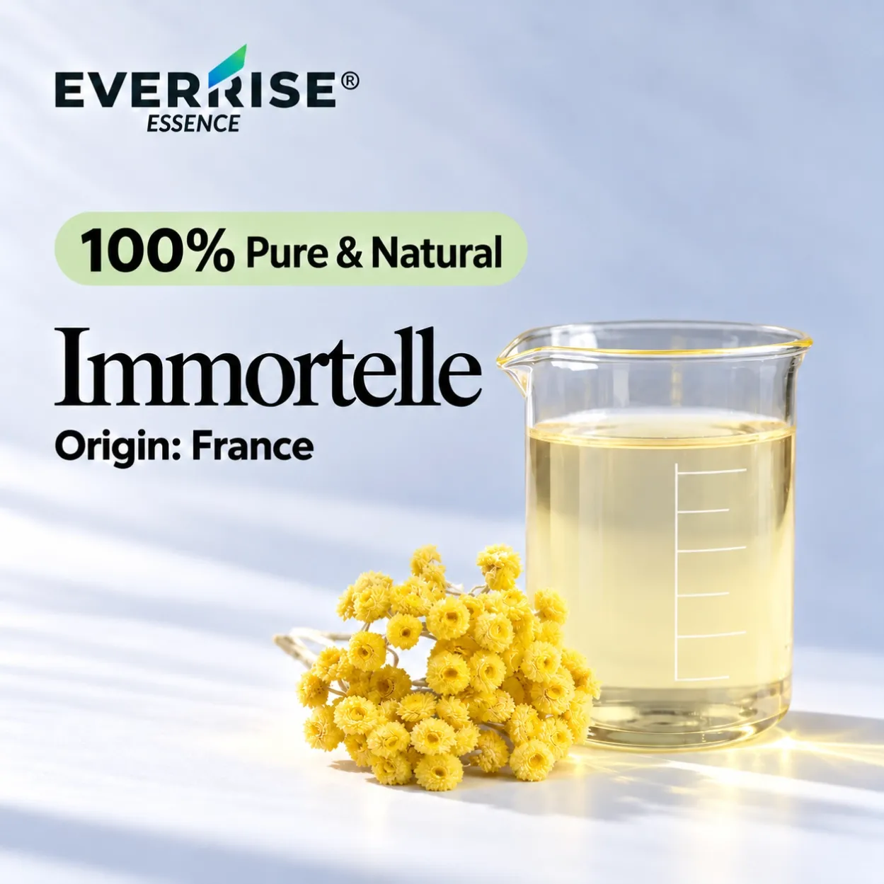 floral-immortelle-france-color-corrected-20261022