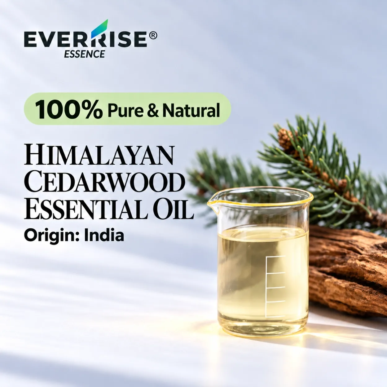 woods-himalayan-cedarwood-essential-oil-india-color-corrected-20261022