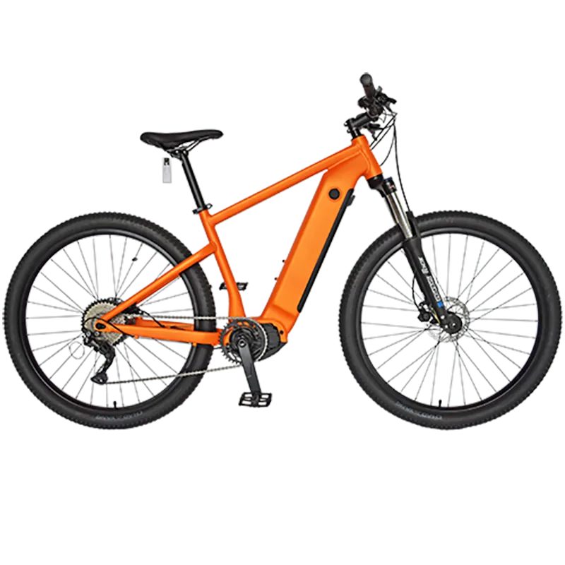 E-BIKE