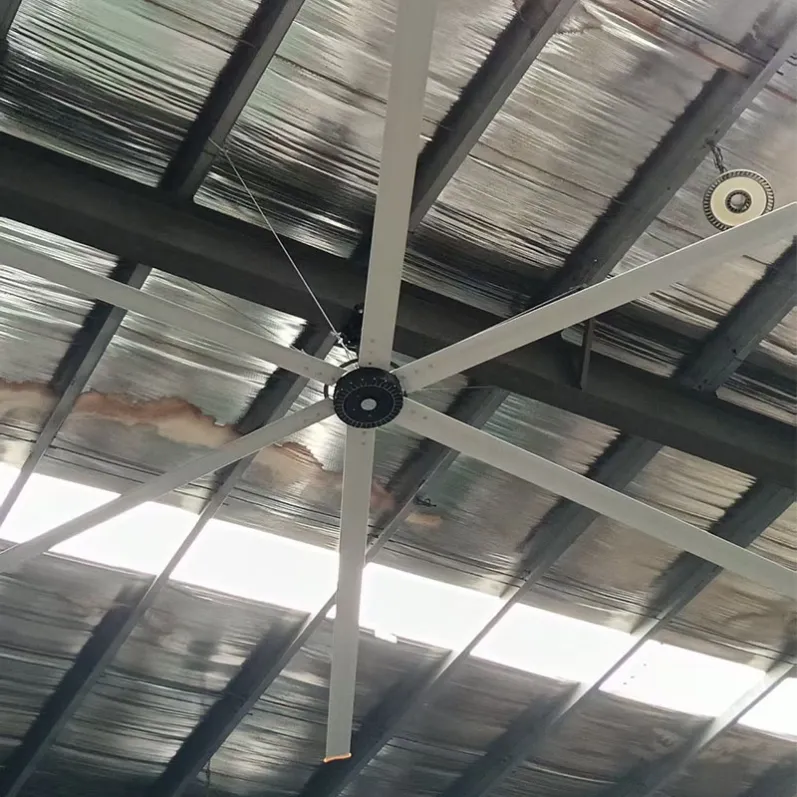 ceiling fans (2)