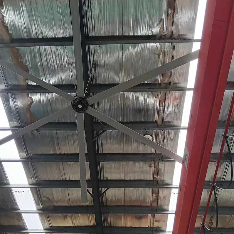 ceiling fans (3)