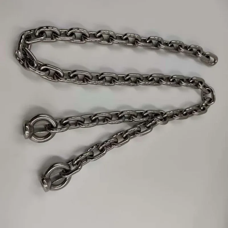 din766 standard stainless steel swing chain