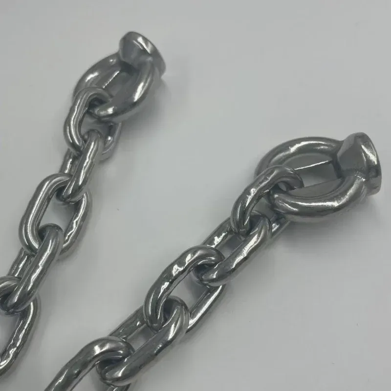 din766 standard stainless steel swing chain