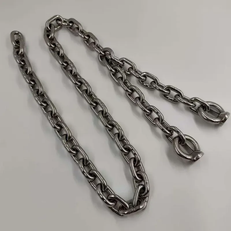 din766 standard stainless steel swing chain