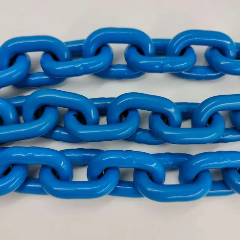 en818 2 lifting chain g100