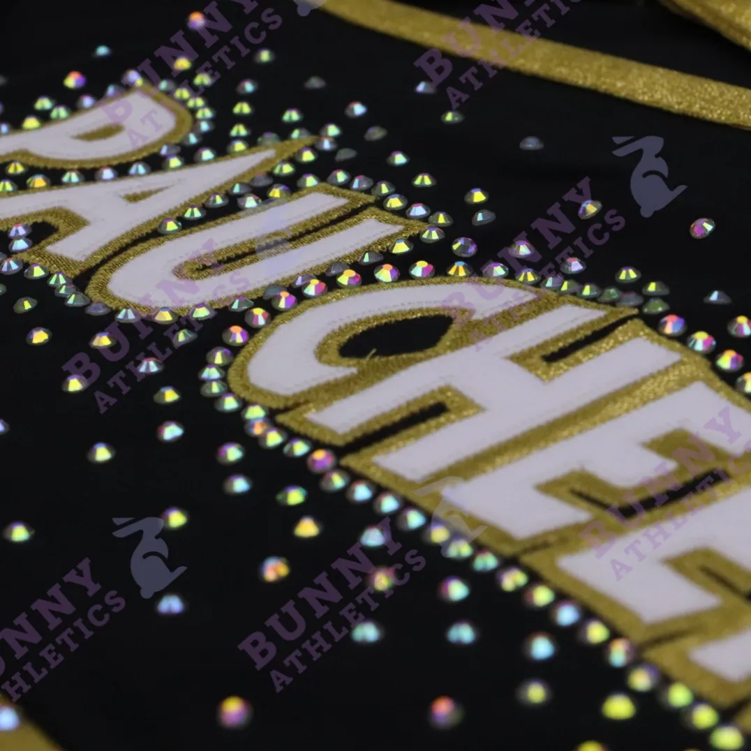 PAU Cheer lettering and decorative detailing