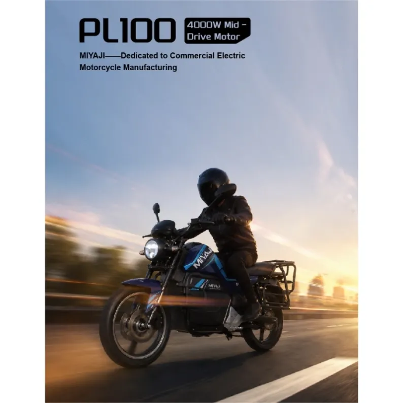PL01 (1)_WH_800x800px