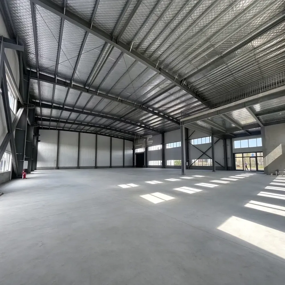 steel structure factory shed (5)